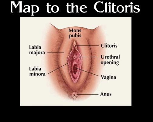 How To Lick A Clitorus 121