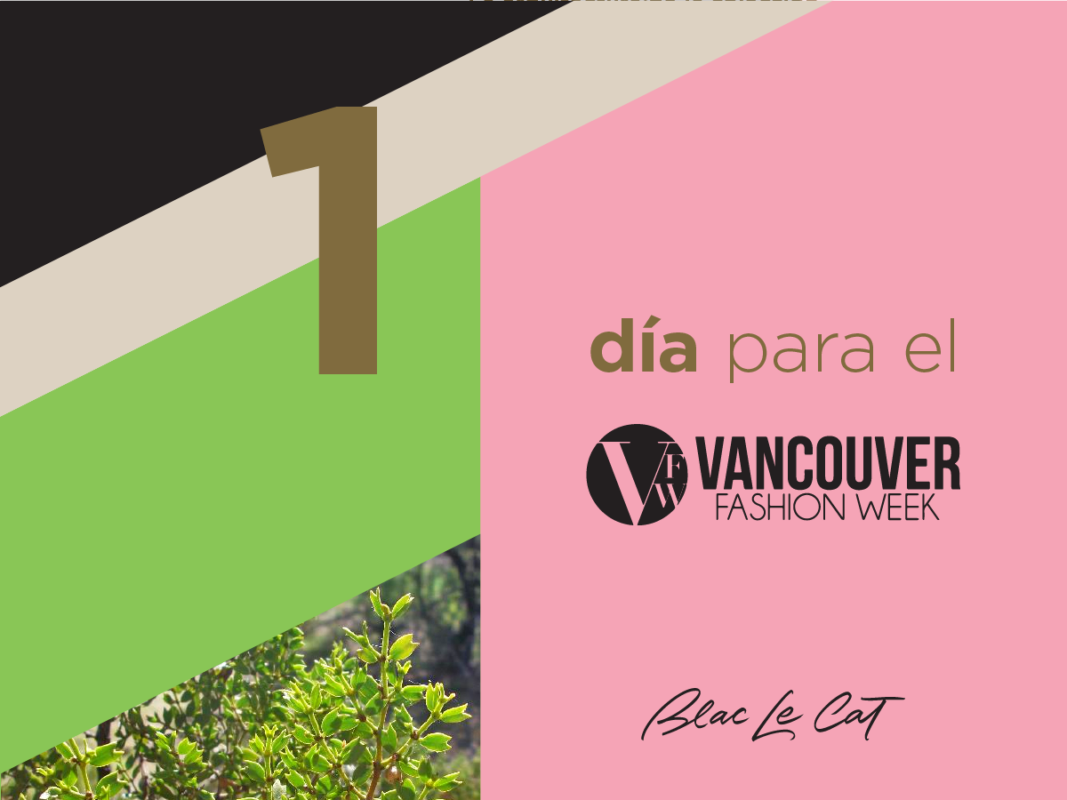 blaclecat's tweet photo. @blaclecat #VanFashionWeek @VanFashionWeek #blcvanfashionweek http://t.co/YWszAebApw