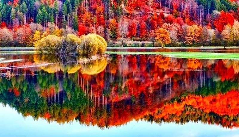 ali33322216's tweet photo. @ollove412 good morning http://t.co/towcNRhc12