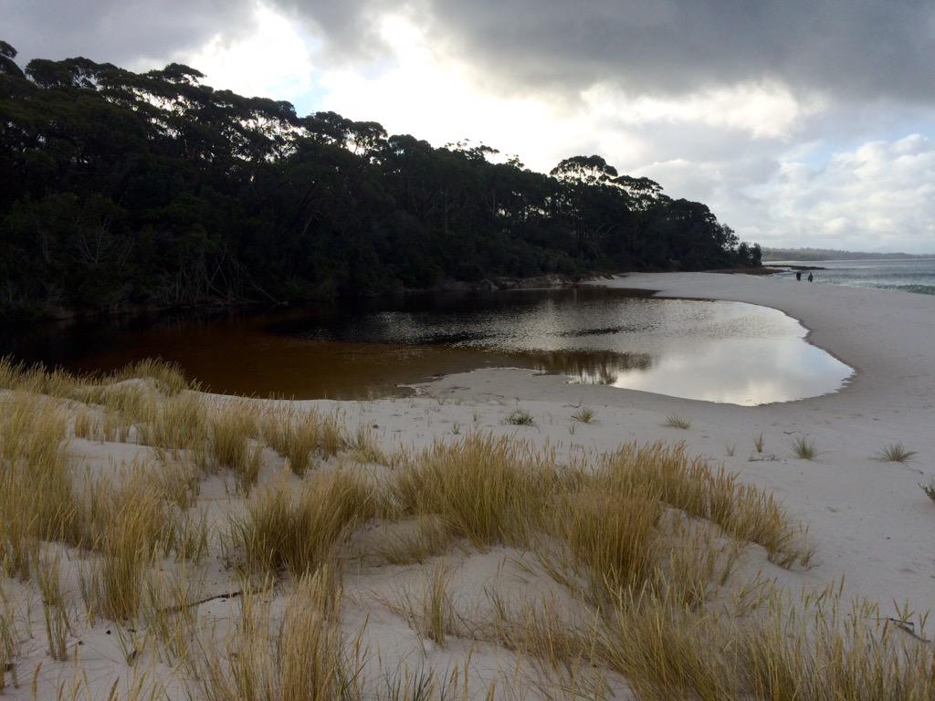 DrEmmaLJohnston's tweet photo. An intermittently closed & open lagoon. #ICOLL #NSW #coast http://t.co/T0hp4piMae? http://t.co/TtyNodXuqm