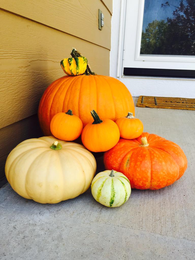MelissanStern's tweet photo. I love the Fall! #falldecor #autumn #fallishere http://t.co/q2I2G1mflI