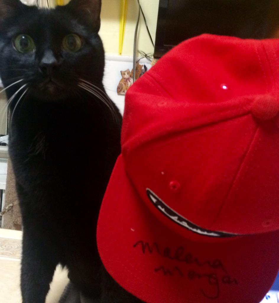 DDD_NYC's tweet photo. @MalenaMorgan @FuturolaUsa #futurolaswag #EvenMyCatLovesMalena #ThanksForMyGift #peralenas http://t.co/CIKiKXMoR0