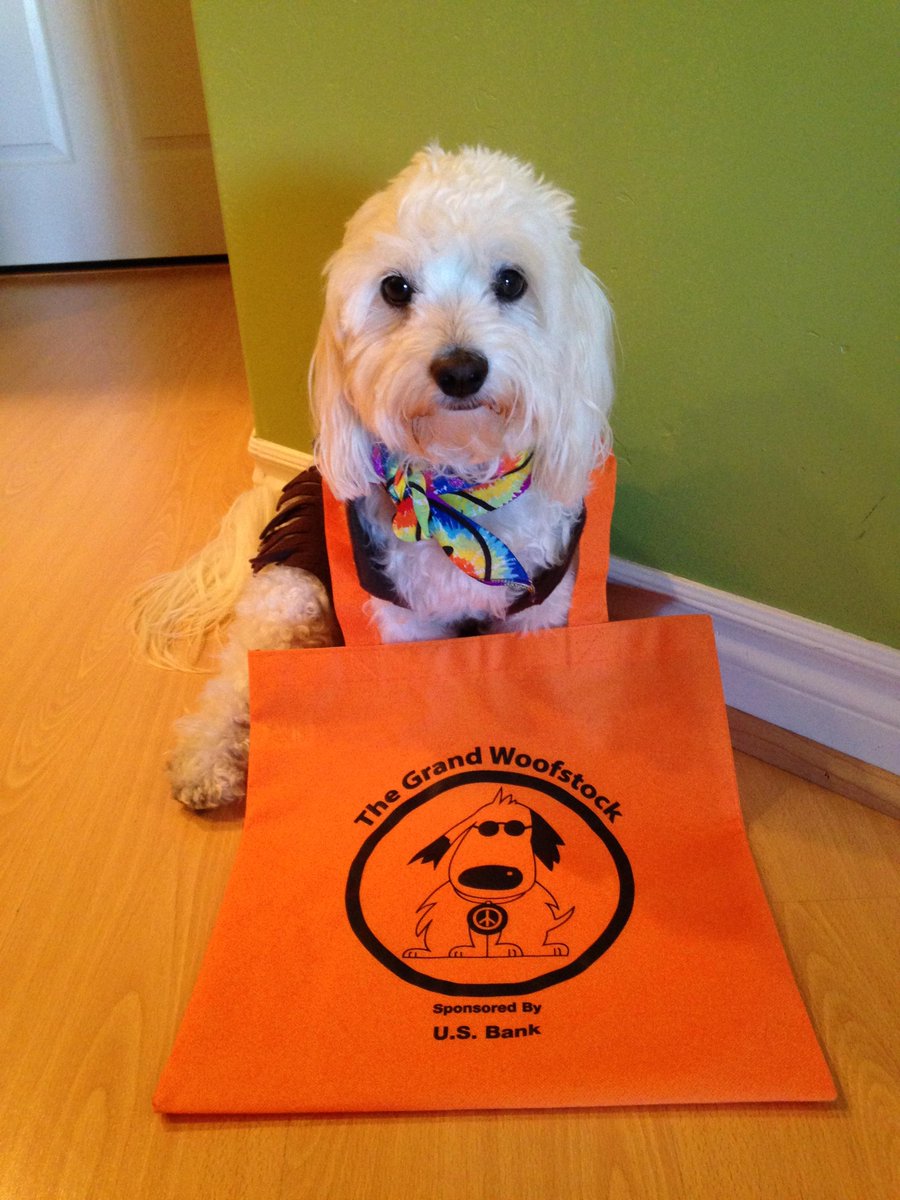 sammieplays's tweet image. Sammie showing his cool new The Grand Woofstock bag that he got today. #dogsofjoy #dogsoftwitter #dogslife #doglover