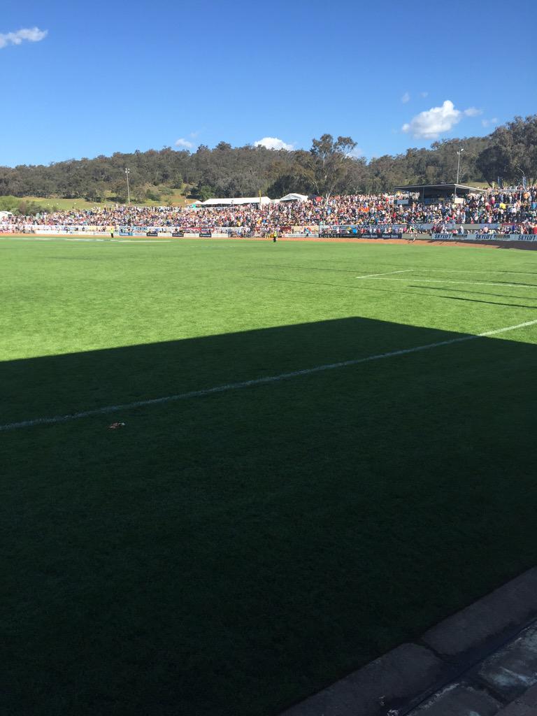 Shane Macintosh tweet media