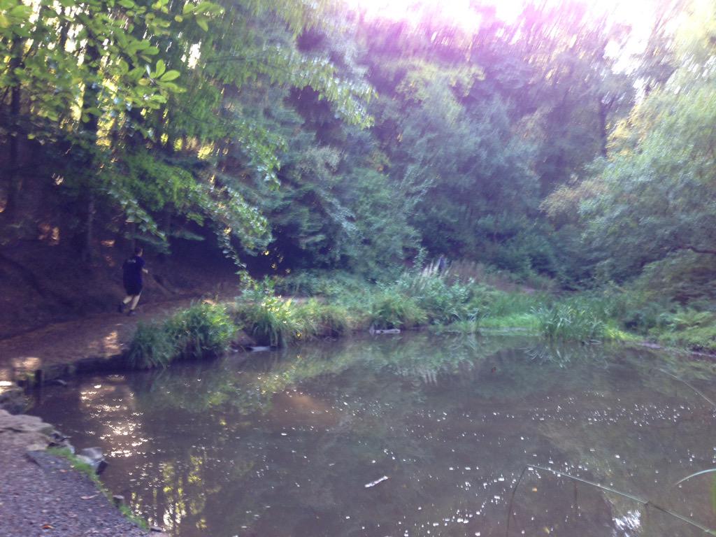 thrive_sw's tweet photo. Loving @ParadiseandBack !! What a route! #backmarker @run_bristol http://t.co/Ac2u1QPkxN