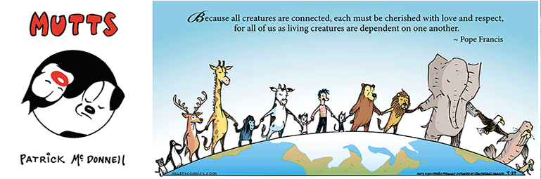 Karleen115's tweet photo. #MuttsComic #Mutts #PatrickMcDonnell #Love #Respect #PopeFrancis http://t.co/5GvITN9p6k