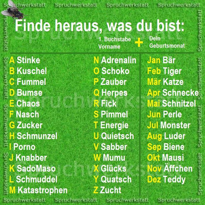 EllyNattdis's tweet photo. Also, ich bin eine Chaos-Schnecke #grinst http://t.co/LvmLpqfEeN
