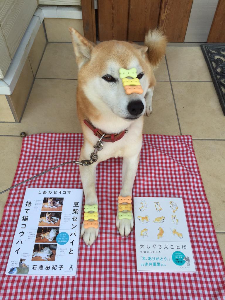 くもがうまれる Twitter Search Twitter