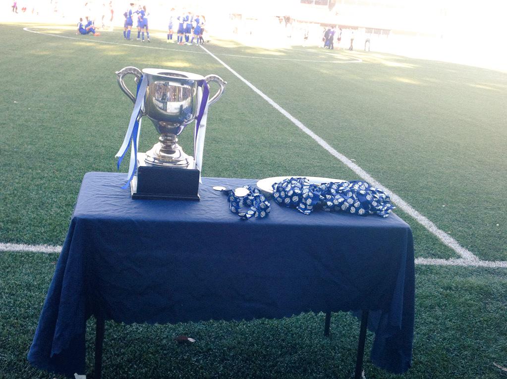 LWWren's tweet photo. Don't be upset @BoroondaraEagle you've had an awesome season & two out of three ain't bad ...it's brilliant #WPLVIC h http://t.co/5nw8afwOrE