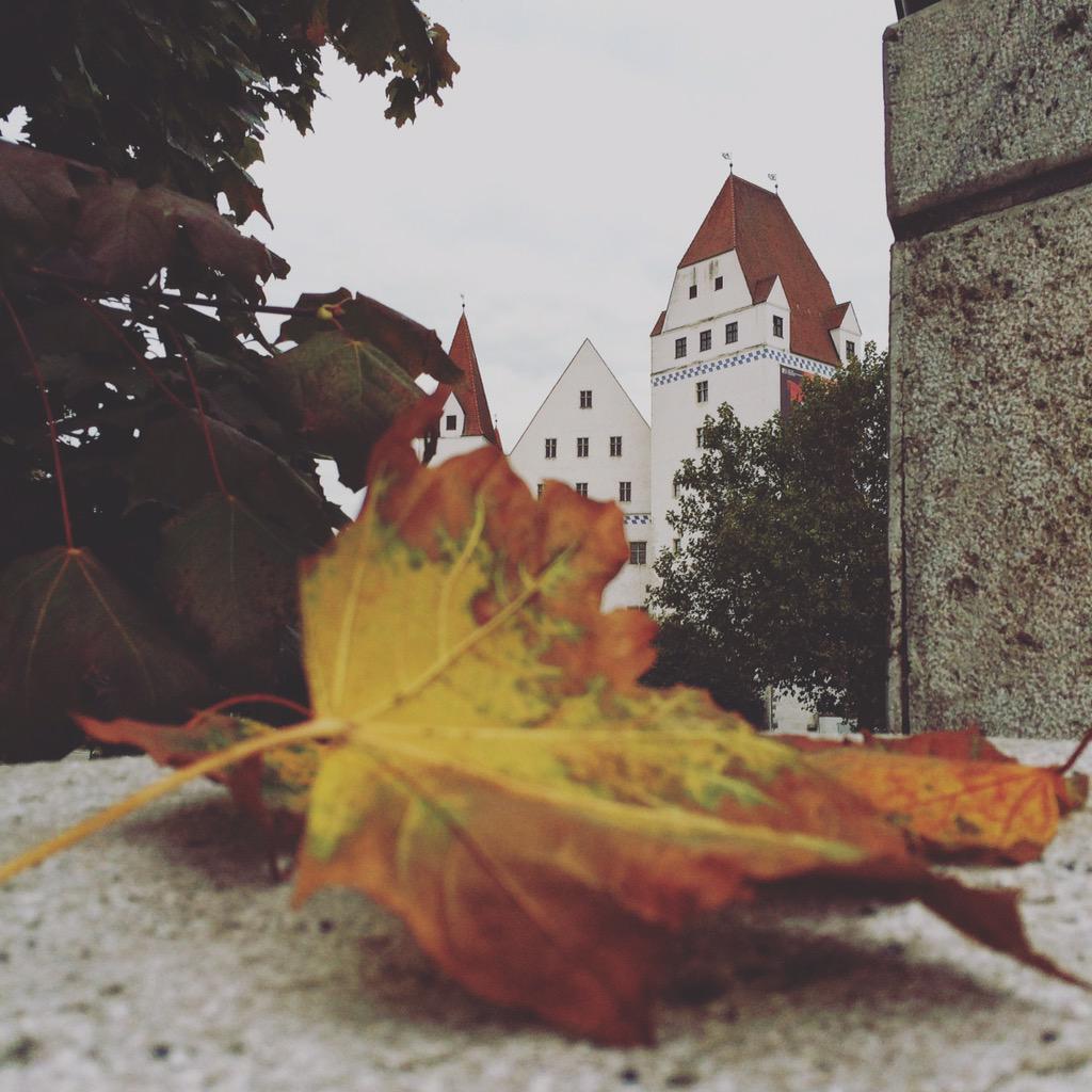 Herbstliches Neues Schloss #Ingolstadt http://t.co/yDlJi5kE0z