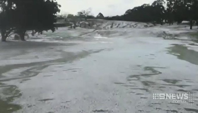 View image on Twitter