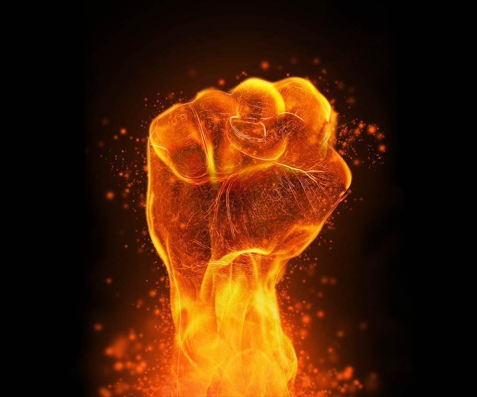 llislen's tweet image. 