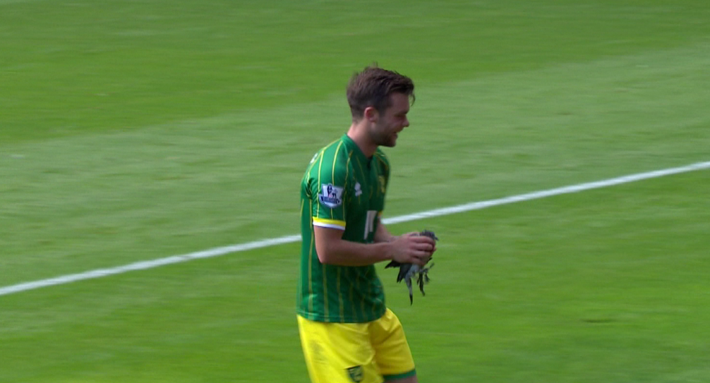 SkySportsNews's tweet photo. Norwich midfielder Jonny Howson came to the rescue and took a pigeon to safety during the West Ham game! #SSNHQ http://t.co/Oj5gF9s743