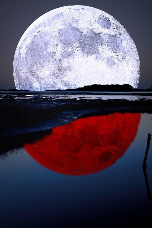 andrea_4520's tweet photo. Lunar Reflection http://t.co/TIFAefOc8M