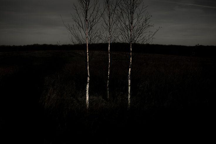 EntouragePost's tweet image. Even the simplest #elements of #nature can be very impactful. #lightshadows #photography pinterest.com/pin/4119386971…