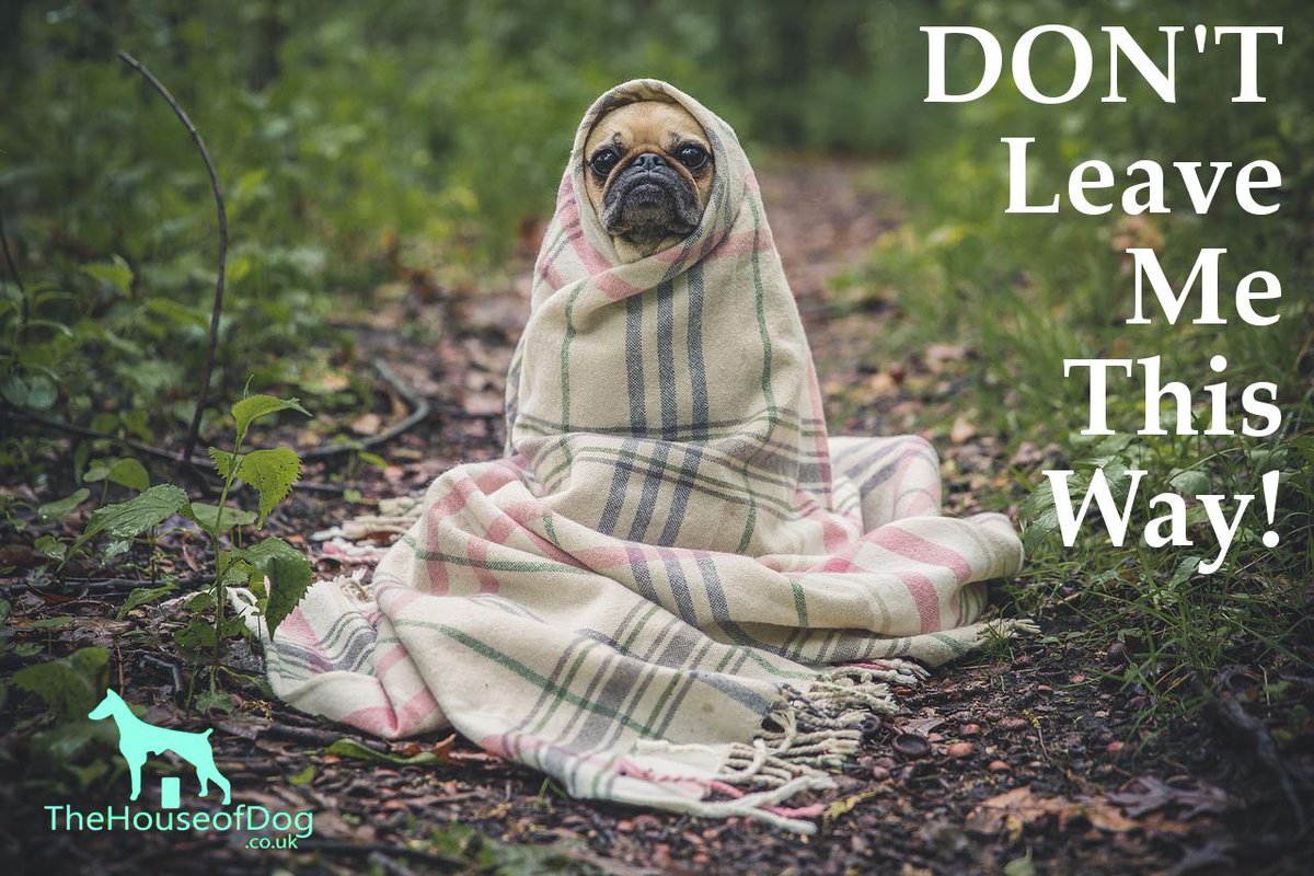 TheHouseOfDogUK's tweet photo. The real reason your dog barks all day whilst you're out may surprise you (&amp; the solution too) http://t.co/s8fWGRDeB5 http://t.co/RKIEzjz9xr