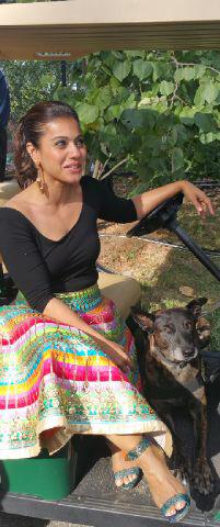 Embedded image permalink