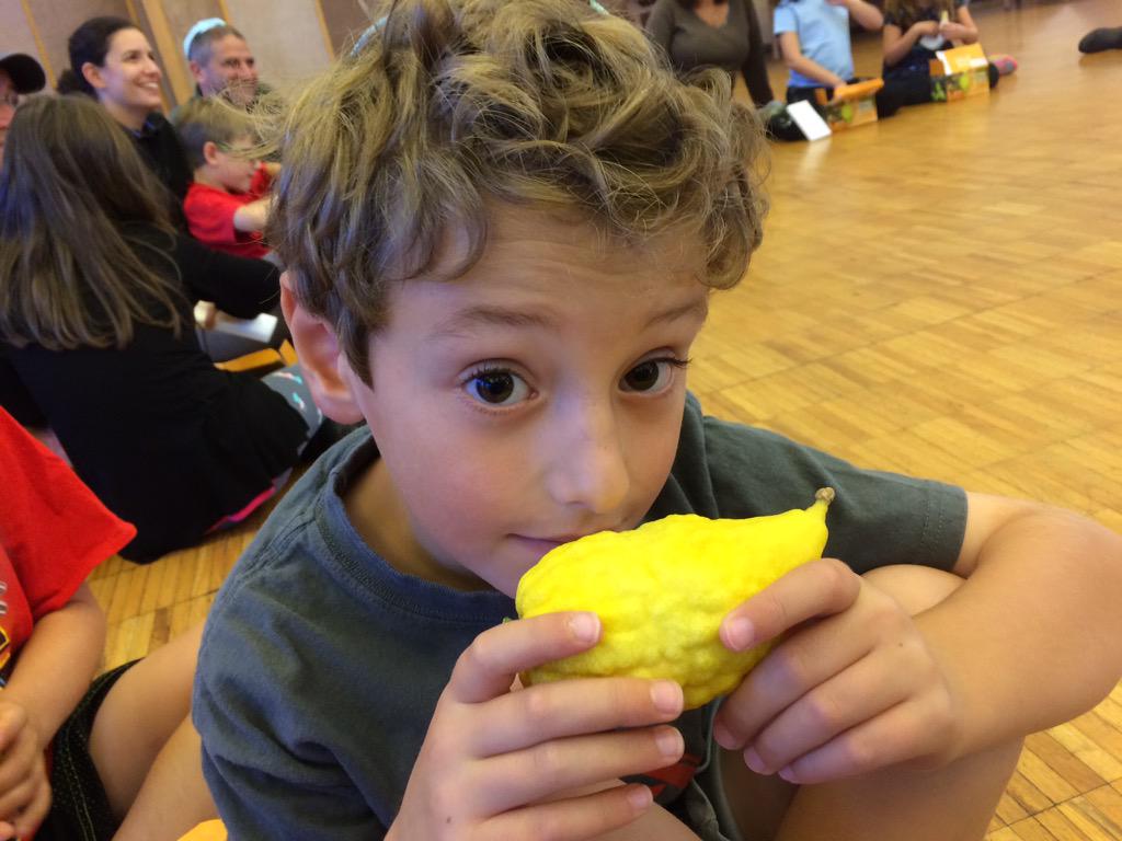 NealJSonnenberg's tweet photo. @tiofnatick thanks for the lulav and etrog. Who knew that scratching the etrog brought out the smell. #shakeyourlulav http://t.co/BtT9KhQUiG