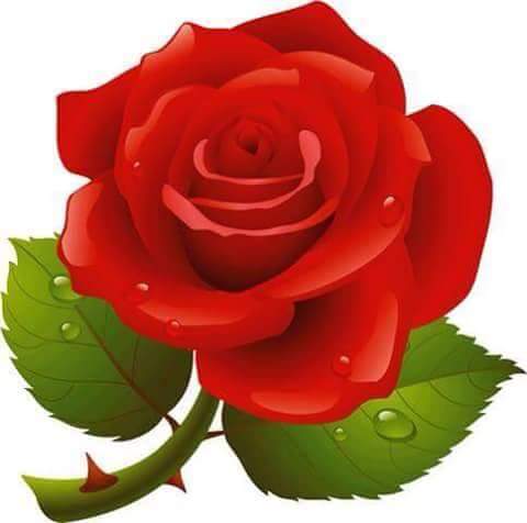 hani365663's tweet photo. @dinasamaan http://t.co/qDrE73mkbS