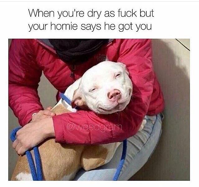 😂 A friend with weed is a friend indeed #WeedLyfe