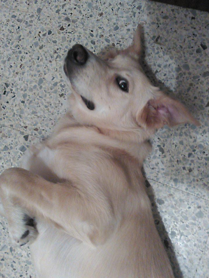 CarlesCamacho's tweet photo. @PJimenezV @dolooojg @RoserJou la eu despertat de migdiada jejej http://t.co/nZV0ixaKld