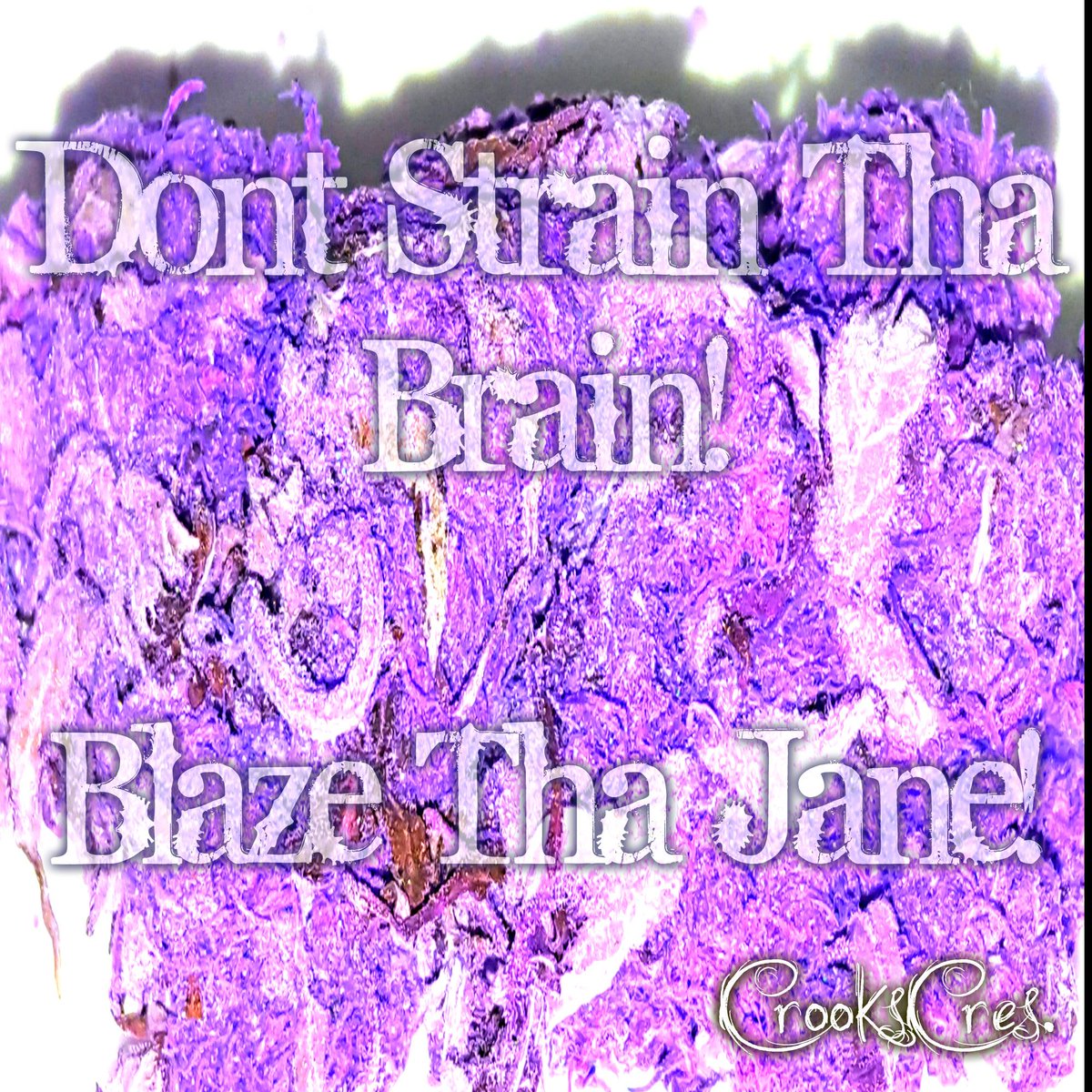 CrooksCresent's tweet photo. #BlazeThaJane #MaryJane #Weed #SmokeUp #CrooksCres #PurpleBud #BestBuds #HighLife #Stonelife #Stonerfam #Smile http://t.co/GEGnS4cXN5