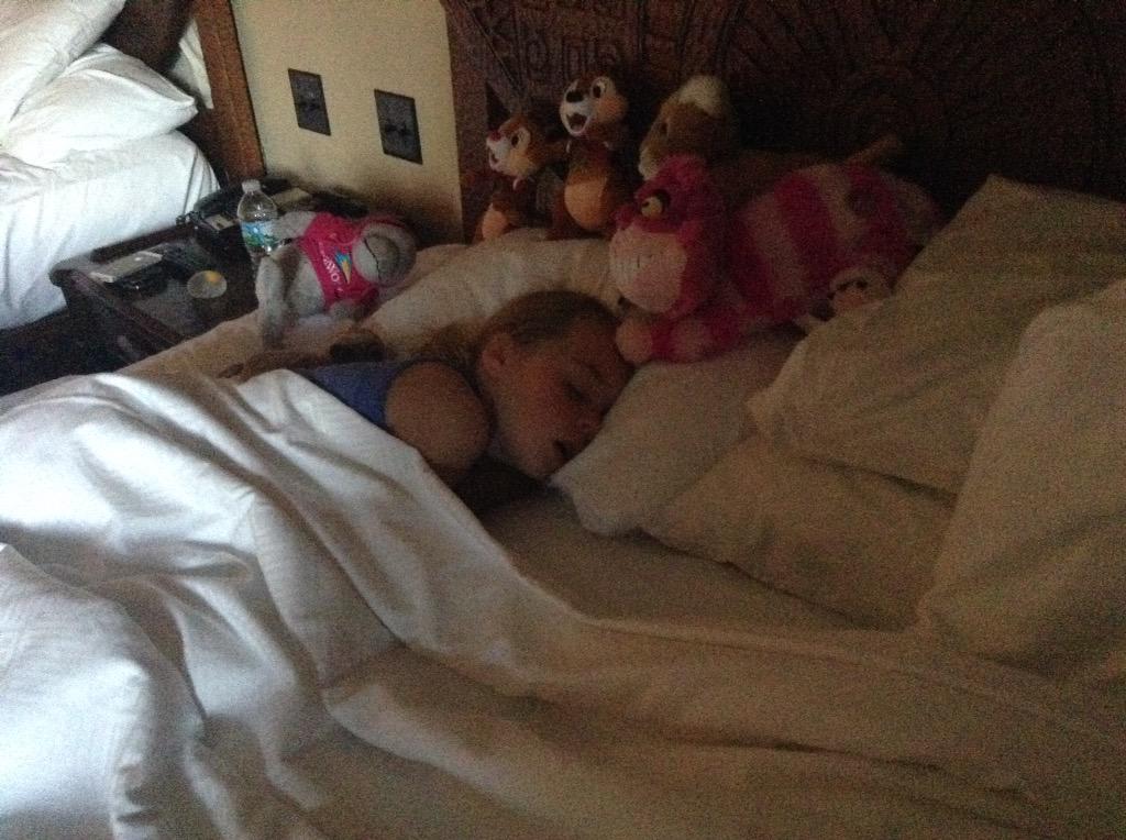 cessum69's tweet image. @nickyr0602 @Donnaava1974 @Carol1McKechnie @meginmckechnie_ #flycatching