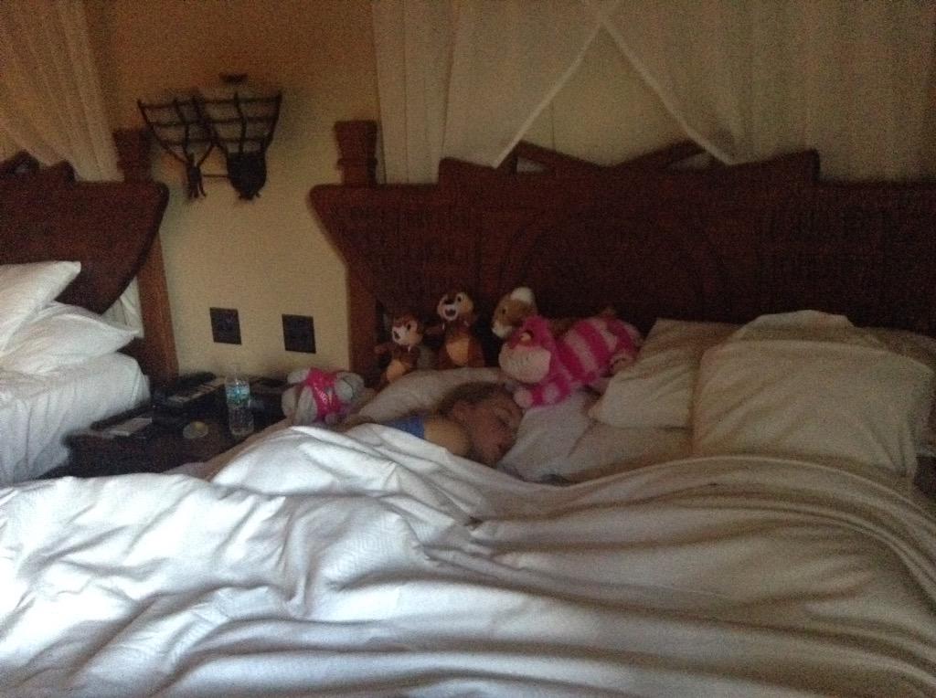 cessum69's tweet image. @nickyr0602 @Donnaava1974 @Carol1McKechnie @meginmckechnie_ #flycatching