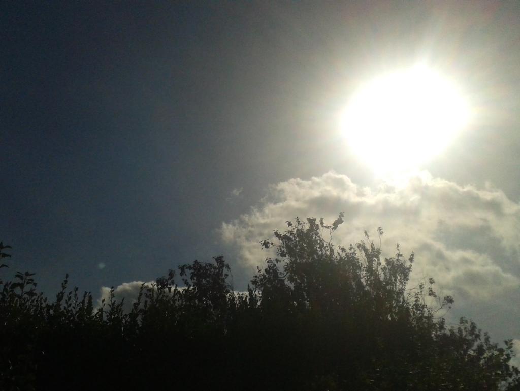 deadlybuzzyeah's tweet image. Oh make the most of this sunshine folks. #octoberisacomin