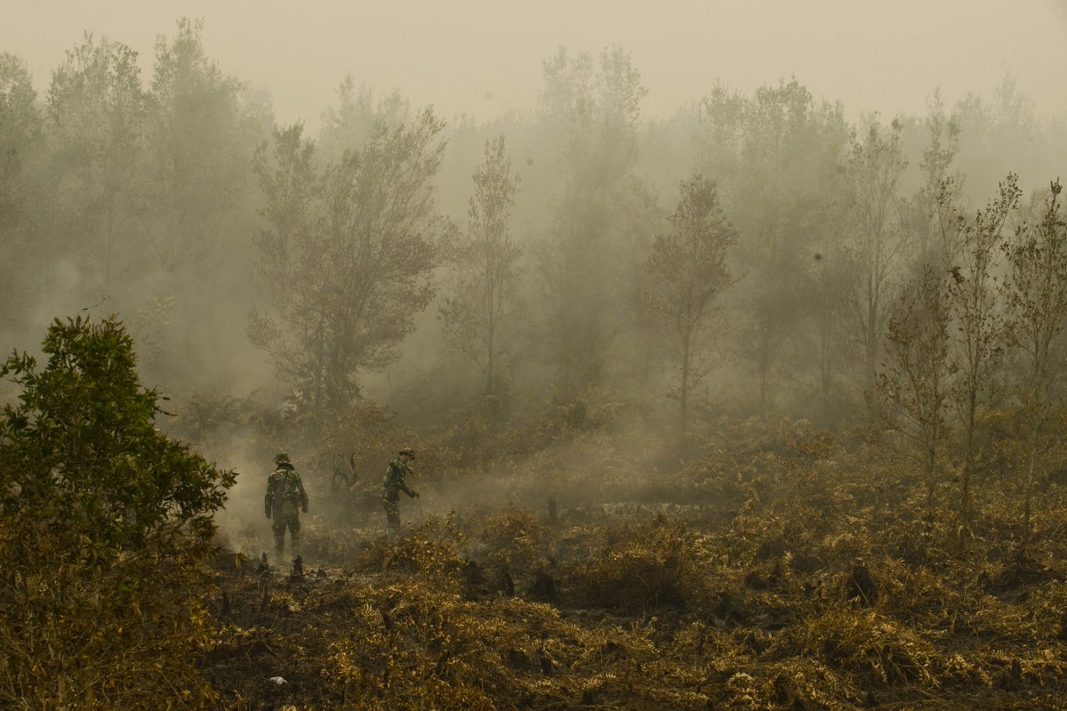 straits_times's tweet photo. Indonesia gives assurance that it takes haze very seriously: DPM Teo Chee Hean http://t.co/NcTZKXmaAc http://t.co/ho6HGUCmNK
