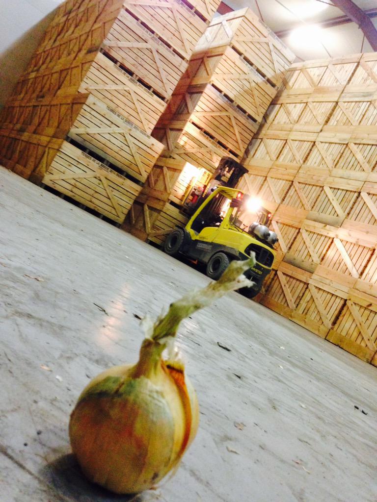 Nonoskovitch's tweet photo. #sundayfunday #harvest15 #tetris #TdlB @pilat_o http://t.co/O2coy0gFUj