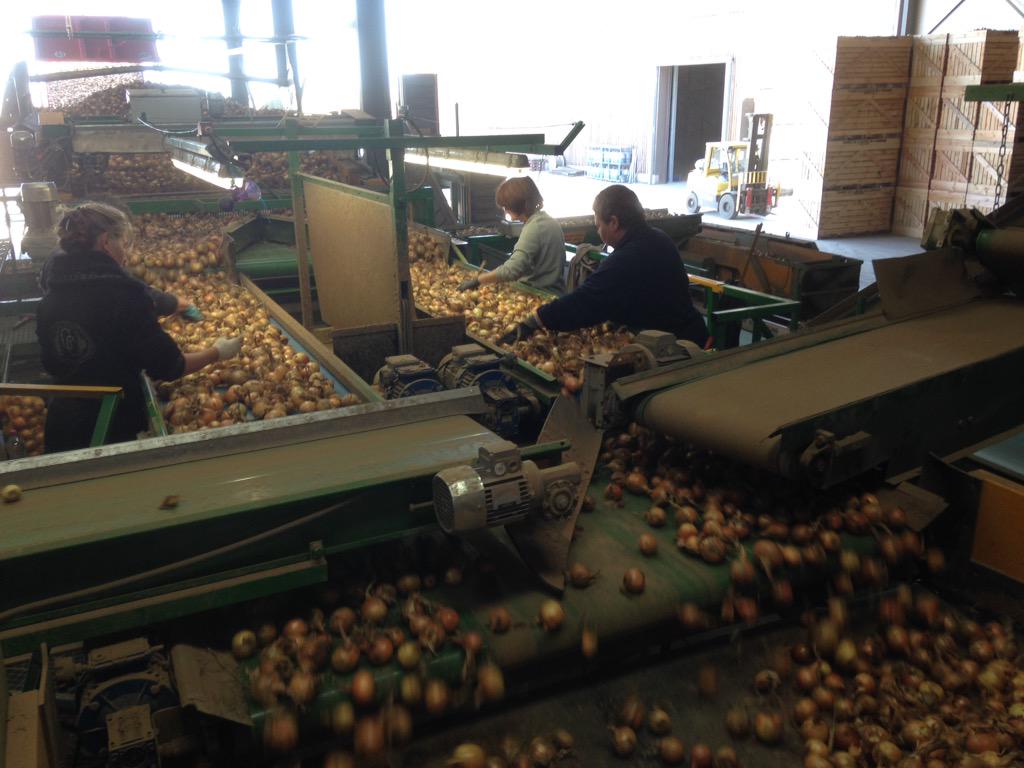 Nonoskovitch's tweet photo. #sundayfunday #harvest15 #tetris #TdlB @pilat_o http://t.co/O2coy0gFUj