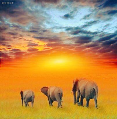 Infinity Diamonds tweet media