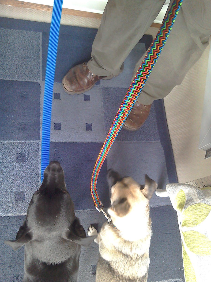 Paul Brady (@Peeebs) | Twitter