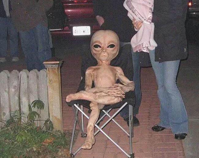 ripmemesP's tweet photo. cuando no t estás enterando d una puta mierda en clase, pero disimulas komo si estuvieras atento http://t.co/SmOc14PSQp