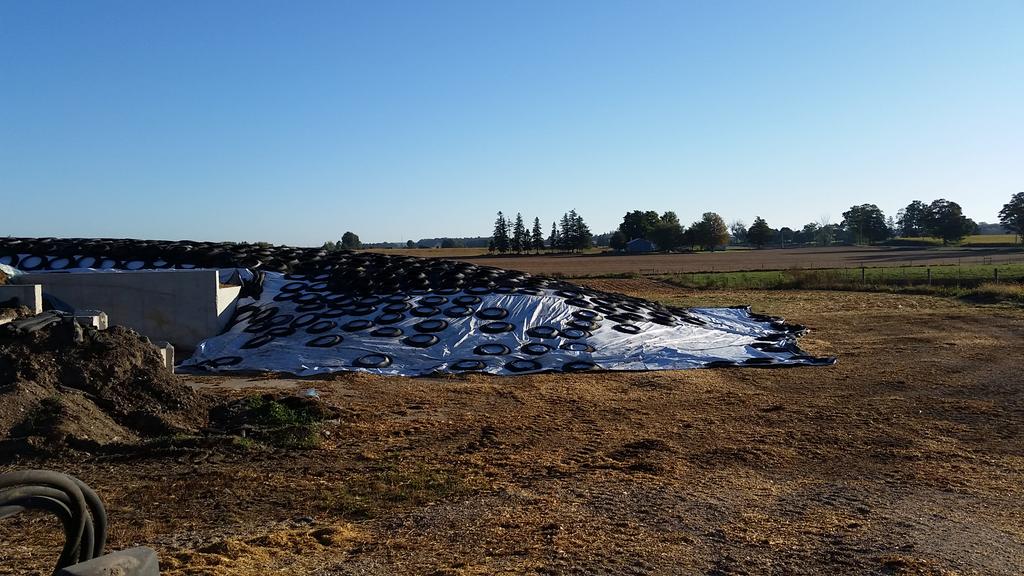 janvr's tweet photo. Bunk full now on to the silos #cornsilage 2015 #farm365 #fullenough http://t.co/KPmGDn5axC