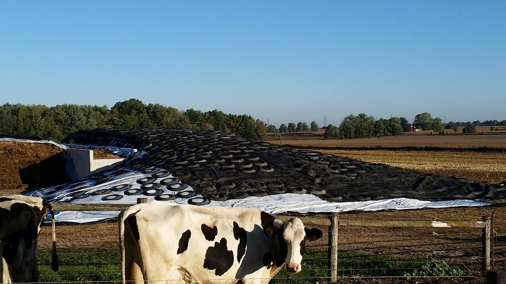 janvr's tweet photo. Bunk full now on to the silos #cornsilage 2015 #farm365 #fullenough http://t.co/KPmGDn5axC