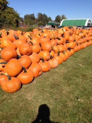 abbyhillfarms's tweet photo. Anyone need some pumpkins?  It's a wonderful day at 1490 bankfield road today! http://t.co/jFlcNCimLl