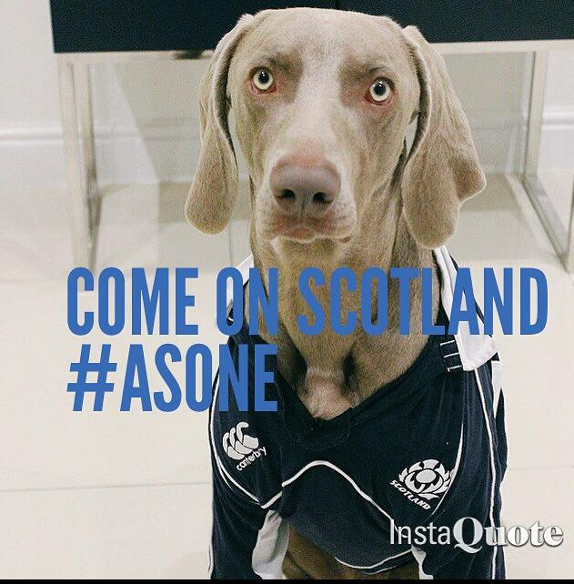 #SCOvUSA #AsOne #RugbyWorldCup #sco <a href="/BBCSportScot/">BBC Sport Scotland</a> <a href="/Scotlandteam/">Scottish Rugby</a>