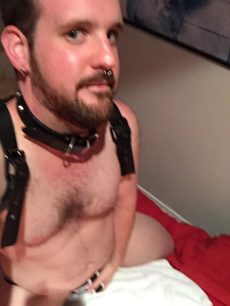 RayHudsonXxX's tweet photo. Had the place to myself last night, so took matters into my own hands. #gaybear #gayporn #cub #vers http://t.co/uS7KqMFd0n