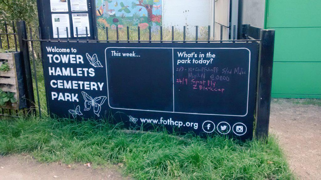 ChallengeTowerH's tweet photo. Epic grave clearing going on down at the beautiful Tower Hamlets Cemetery Park today - well done teams! @FoTHCP @NCS http://t.co/6RrgsIjq1G