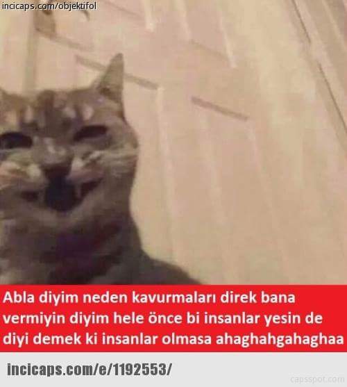 odesa007's tweet image. xaxaxaxa