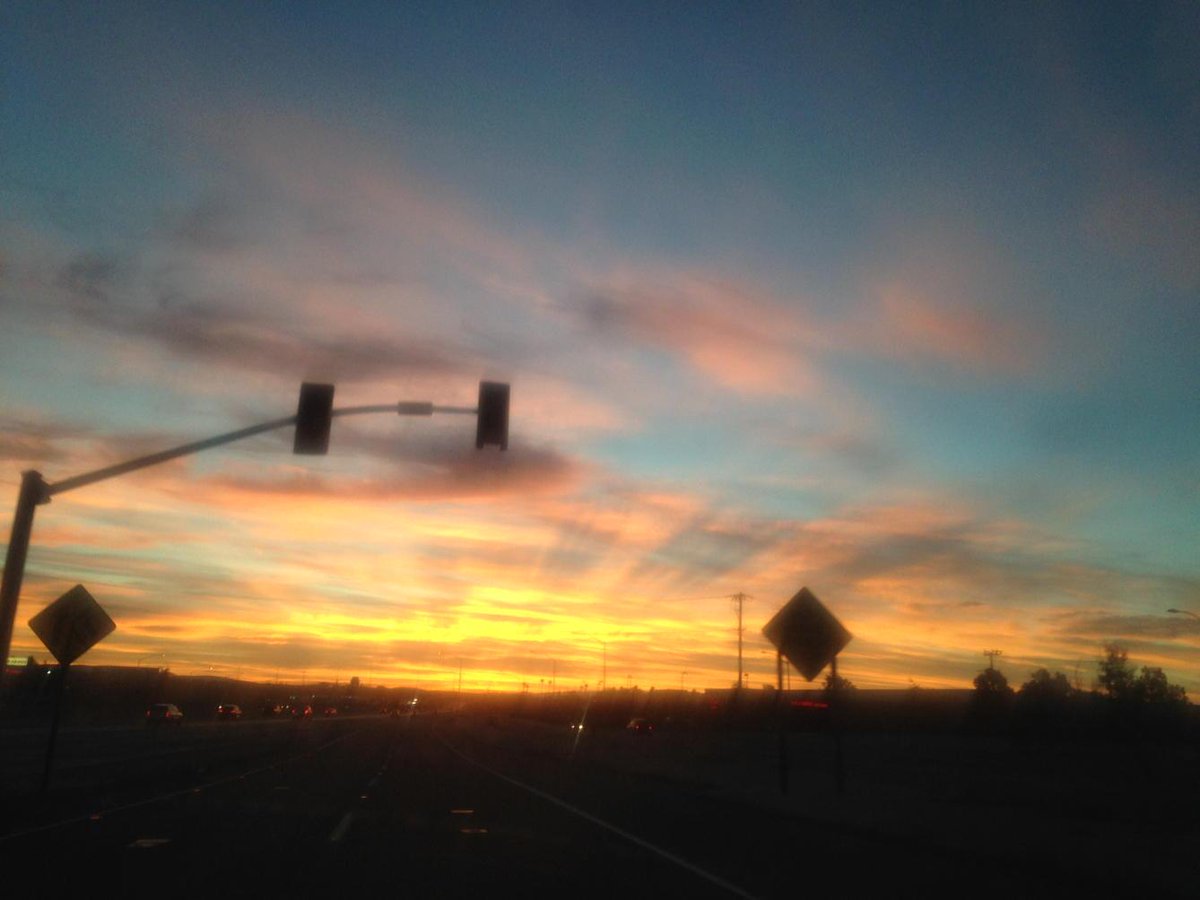 It's going to be a good day@#early bird+worm