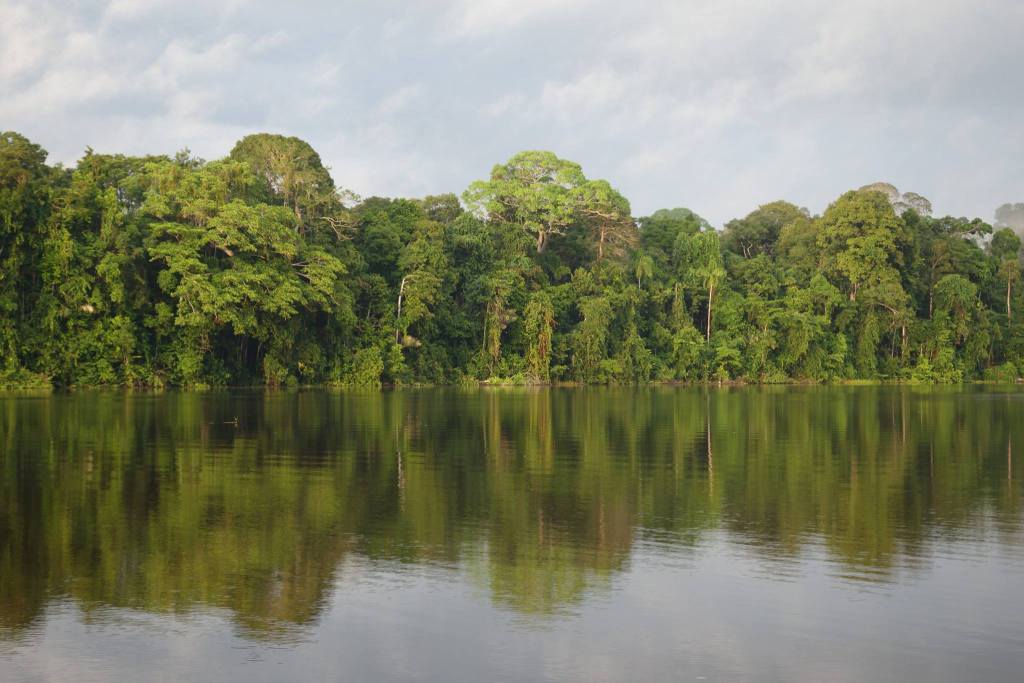 Sihpromatum's tweet image. Piranha Fishing in Peru sihpromatum.com/2015/09/27/pir…