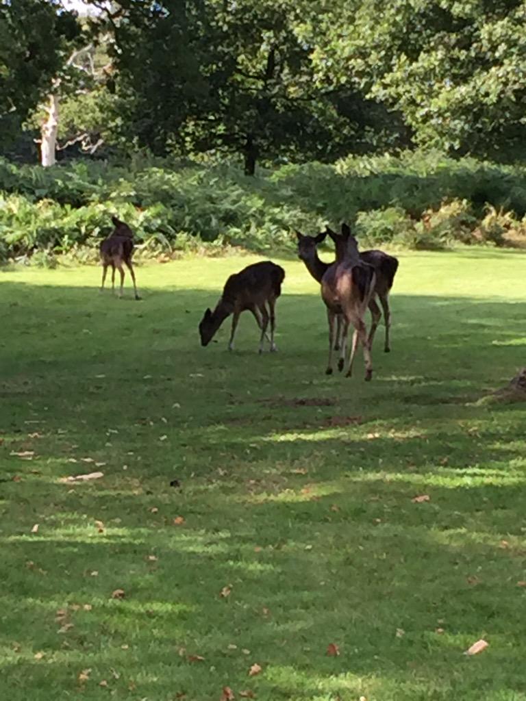 Golf_Society's tweet photo. Great golf weekend @MarriottForestA http://t.co/LKRJT1AQYC