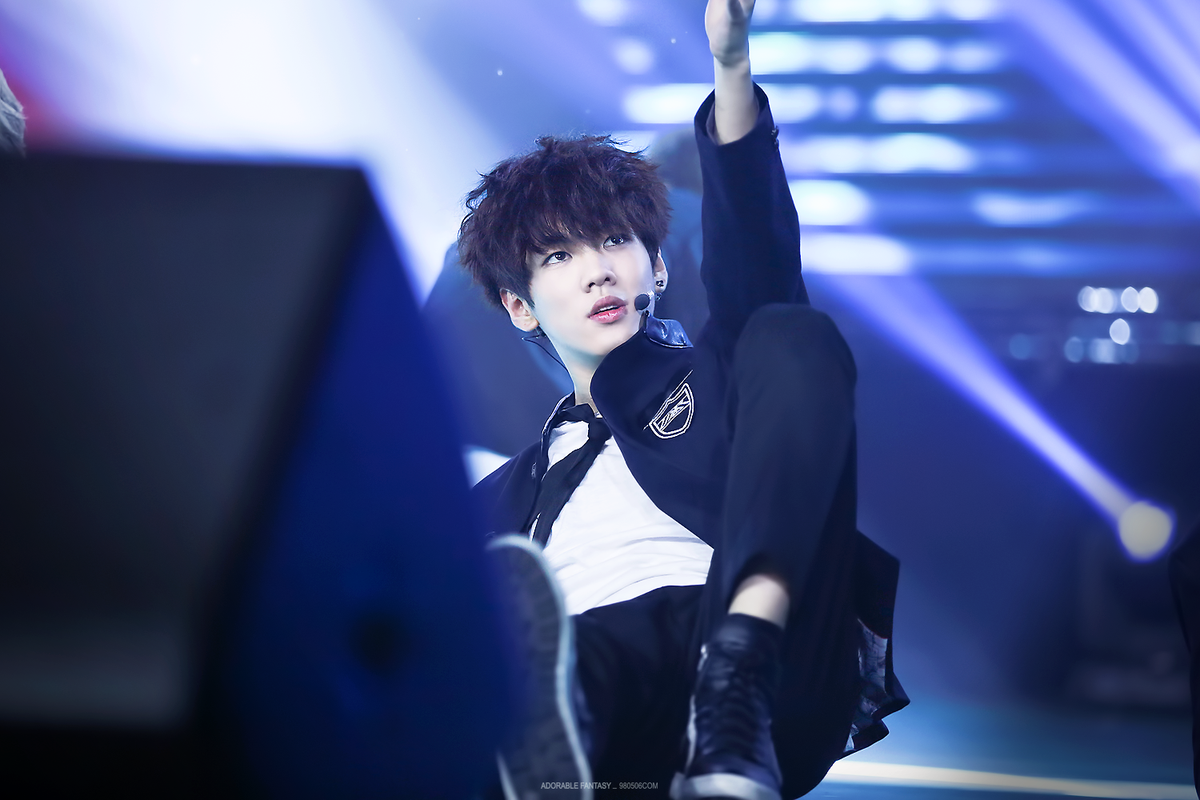 길 잃은 유기견 주인 찾아주던 아이돌.jpg (인성갑인듯ㅠㅠ) | 인스티즈