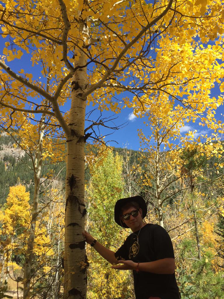 aidenski129's tweet photo. You can tell it's an aspen by the way it is. How neat is that? http://t.co/0e98XoRd7n