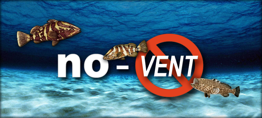 SafeRelease's tweet image. Stop venting &amp;amp; start descending! #angler #sportfishing #offshore #grouper #fishing #boating safereleaseweight.com
