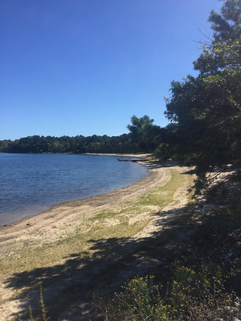 MightySqrl's tweet image. Tweeting and running ... Yup @CraftBrewRaces #awesomecourse #couldgoforaswim #beerme