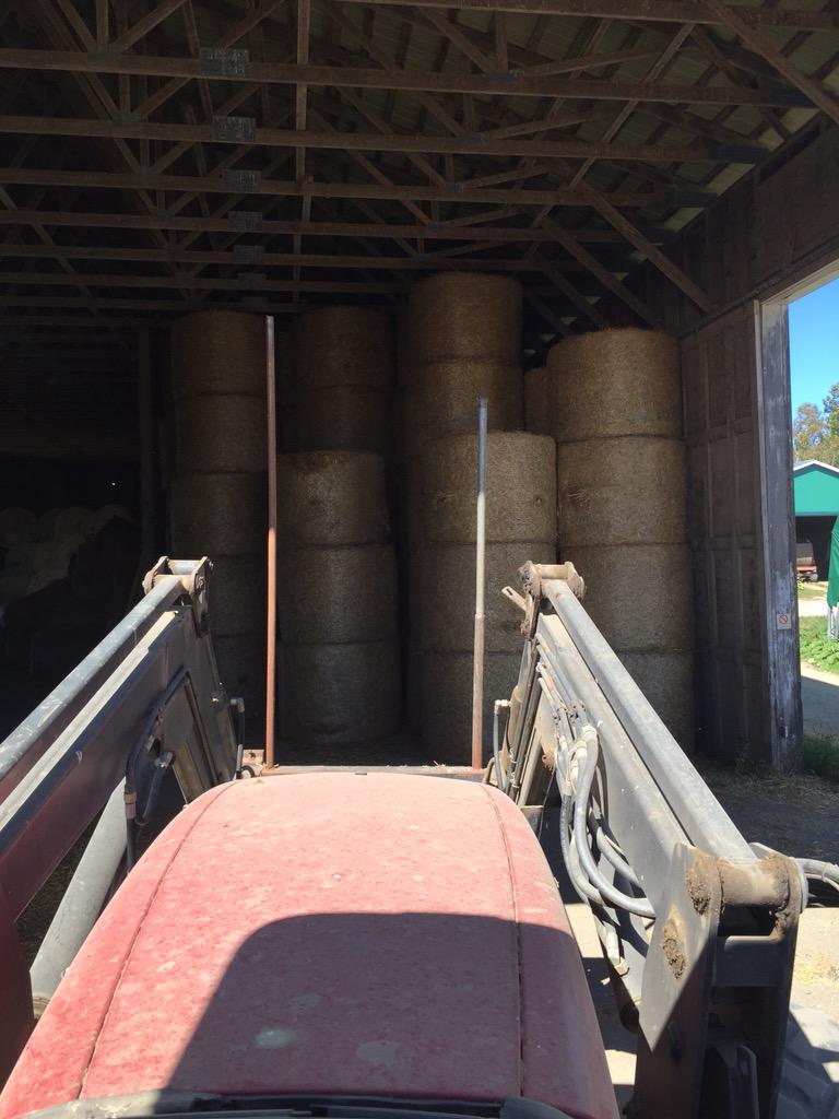 RoyBiggins15's tweet photo. Last of #straw15 put away http://t.co/g3744a4sfD